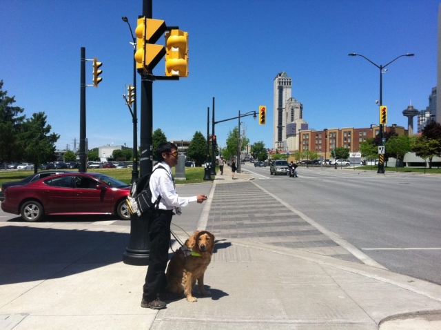 Blind pedestrian accompanied by his guide dog  at an intersection, holding up his Key2Access fob.