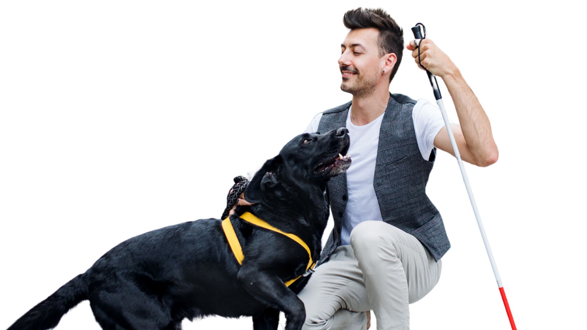 Blind man with guide dog and white cane